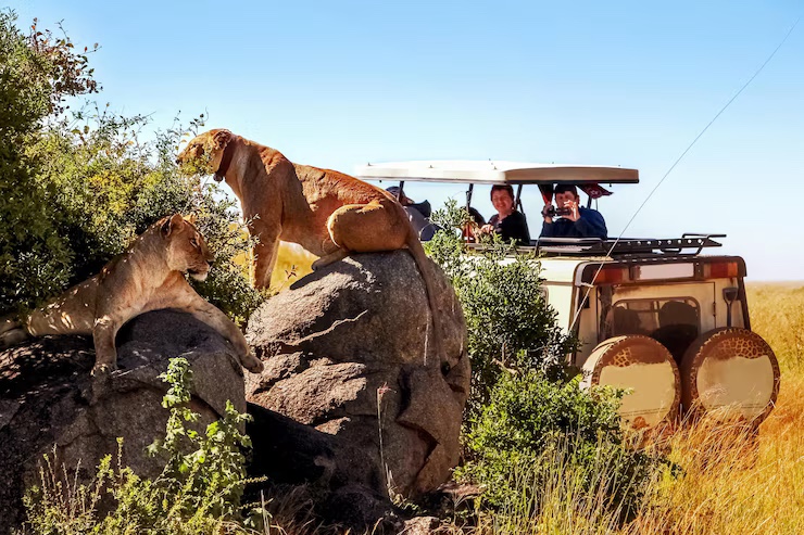 What You Can Do to Protect Endangered Wildlife